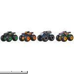 Hot Wheels Monster Trucks 1 64 Scale 4-Truck Pack Styles May Vary  B07GSNDCN2